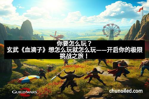 你要怎么玩?玄武《血滴子》想怎么玩就怎么玩——开启你的极限挑战之旅!